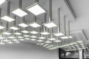 OLED Illumination2